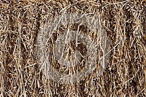 Dry hay texture