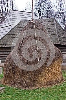 Dry haycock in the backyard photo