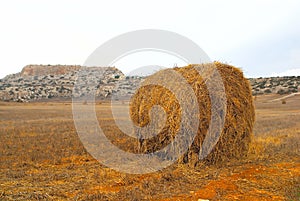 Dry haycock in a field