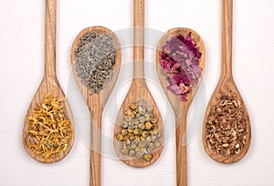 Dry healthy herbs on wooden spoons,