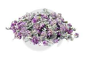 Dry herb Origanum vulgare