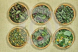 Dry herbs. Herbal medicine, phytotherapy medicinal herbs.