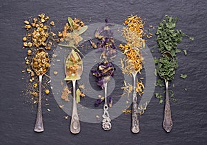 Dry herbs used in alternative medicine in spoons on black stone background