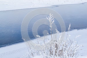 Dry high grass flower with fluffy white snow on the bank against the background of a blue river.