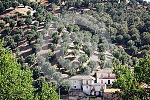 Dry hills of Aspromonte with olive grove and rural farmer house