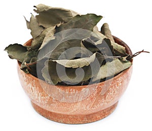 Dry holy basil or tulsi leaves