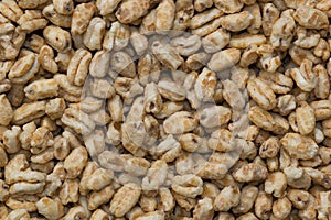 Dry honey puffed wheat cereal pieces scattered loosely directly above.