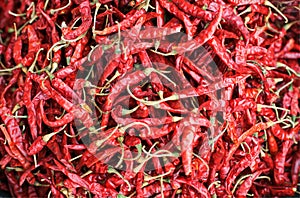 Dry hot chillis background : Closeup