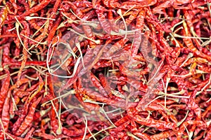 Dry hot chillis background. food ingredient