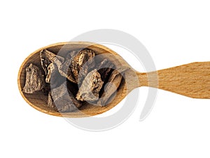 Dry inula root in wooden spoon on white background