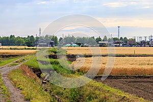 Dry irrigation canal runs through golden wheat fields with distant electrical towers