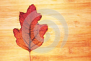 Dry Japanese maple leaf on wood background 2