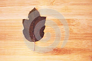 Dry Japanese maple leaf on wood background 8