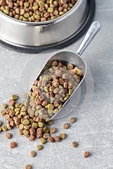 Dry kibble animal food. Dried food for cats or dogs