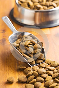 Dry kibble dog food in scoop.