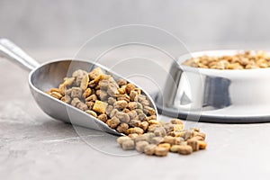 Dry kibble pet food. Dog or cat food in scoop on gray table