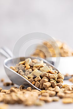 Dry kibble pet food. Dog or cat food in scoop on gray table