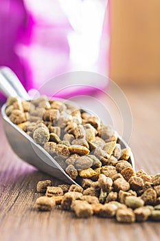Dry kibble pet food. Dog or cat food in scoop on wooden table