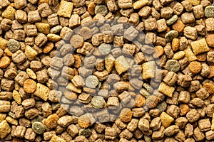 Dry kibble pet food. Dog or cat food. Top view