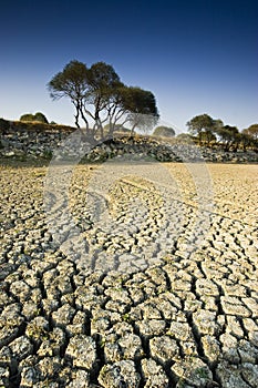 Dry Lake