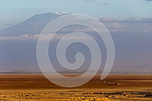 The dry lake Amboseli with the Kilimanjaro in the background