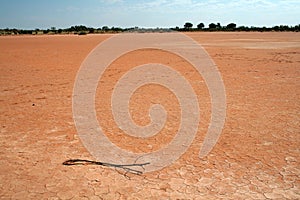 Dry Lake Bed