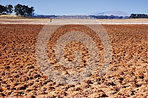 Dry lake bed in drought