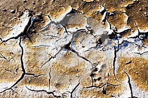 Dry lake bed with natural texture of cracked clay in perspective