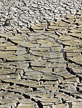 Dry Lake