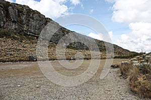 Dry lake, frailejones and rock hills on Sumapaz Paramo. photo