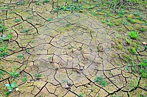 Dry lake or swamp in the process of drought and lack of rain or moisture, a global natural disaster. The cracked soil of the earth