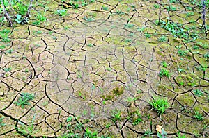 Dry lake or swamp in the process of drought and lack of rain or moisture, a global natural disaster. The cracked soil of the earth