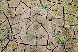 Dry lake or swamp in the process of drought and lack of rain or moisture, a global natural disaster. The cracked soil of the earth