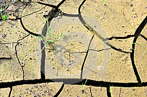 Dry lake or swamp in the process of drought and lack of rain or moisture, a global natural disaster. The cracked soil of the earth