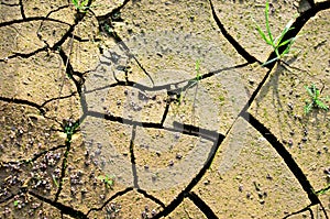 Dry lake or swamp in the process of drought and lack of rain or moisture, a global natural disaster. The cracked soil of the earth