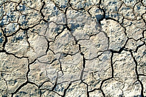 Dry land photo