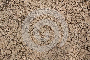 Dry land. Cracked ground background. photo
