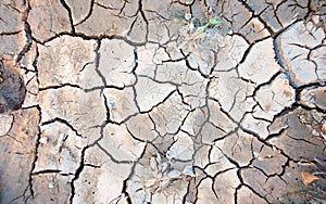 Dry land. Cracked ground background