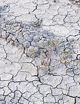 Dry land cracks grey gray grayscale earth ground dried cracking background landscape terraine hilly surface
