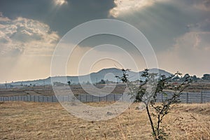 Dry land with godrays