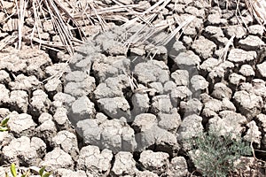 Dry land nature ground