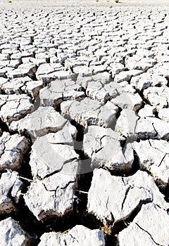 dry land, Parc Regional de Camargue, Provence, France