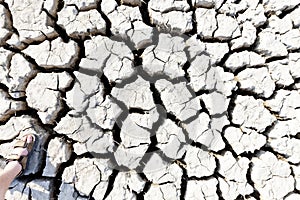 dry land, Parc Regional de Camargue, Provence, France