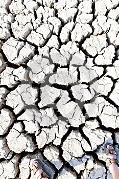 dry land, Parc Regional de Camargue, Provence, France