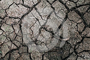 Dry land soil or cracked ground texture and parched dirt in Thailand.Mosaic pattern of sunny dried earth soil.Desert,Global warmin