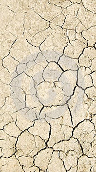 Dry land texture photo