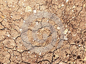 Dry land texture background