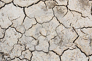 Dry land texture, background image.