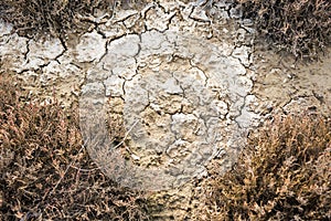 Dry land texture, background image.