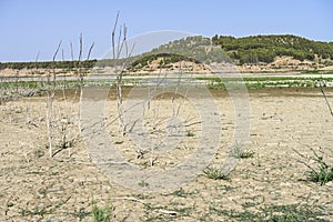 Texture of dry land in southern Europe. Global warming and greenhouse effect. photo
